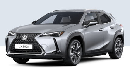 UX300%20-%20Gr%C3%A5%20Platinum